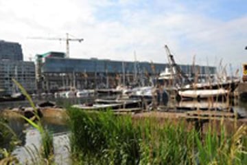 Rechtsanwalt in Holland