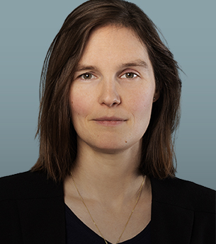 advocaat corporate law